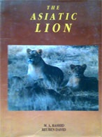 The Asiatic Lion